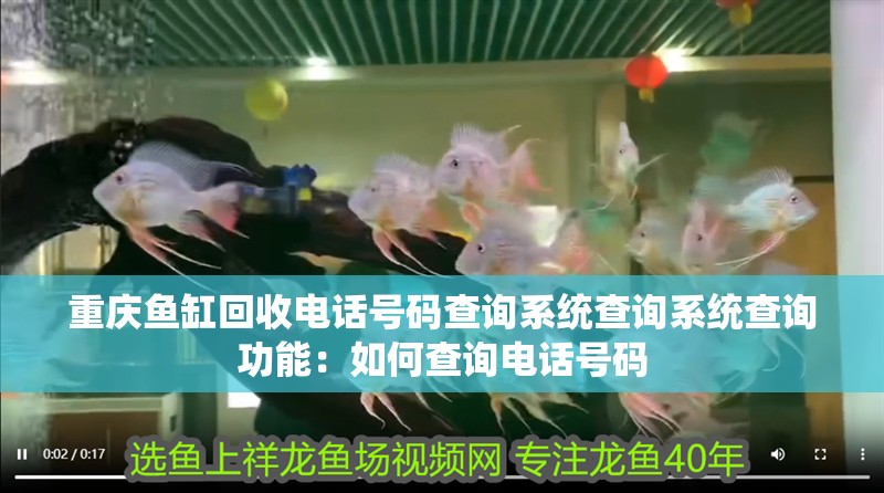 重慶魚缸回收電話號碼查詢系統(tǒng)查詢系統(tǒng)查詢功能：如何查詢電話號碼