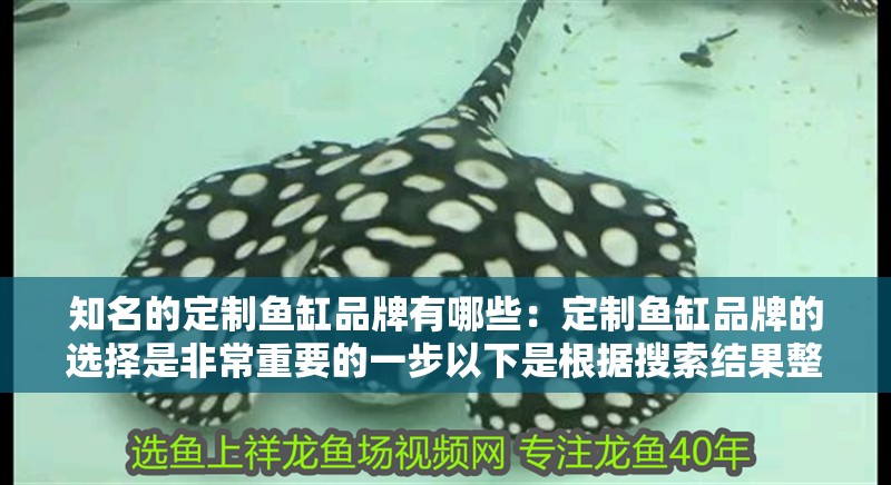 知名的定制魚缸品牌有哪些：定制魚缸品牌的選擇是非常重要的一步以下是根據搜索結果整理的
