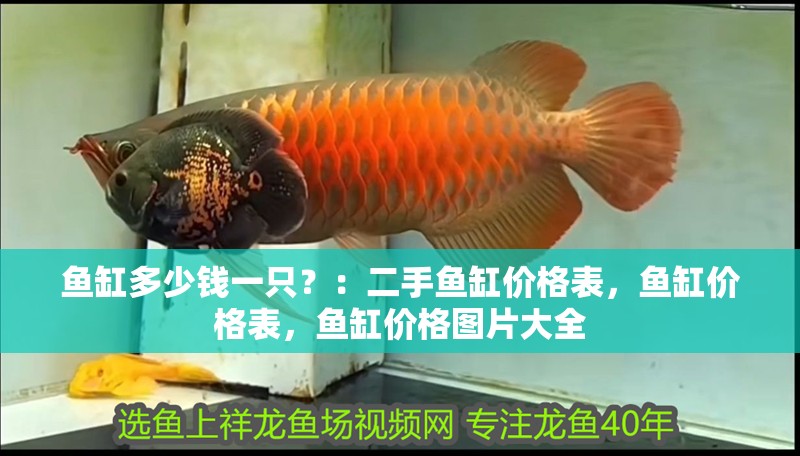 魚缸多少錢一只？：二手魚缸價(jià)格表，魚缸價(jià)格表，魚缸價(jià)格圖片大全