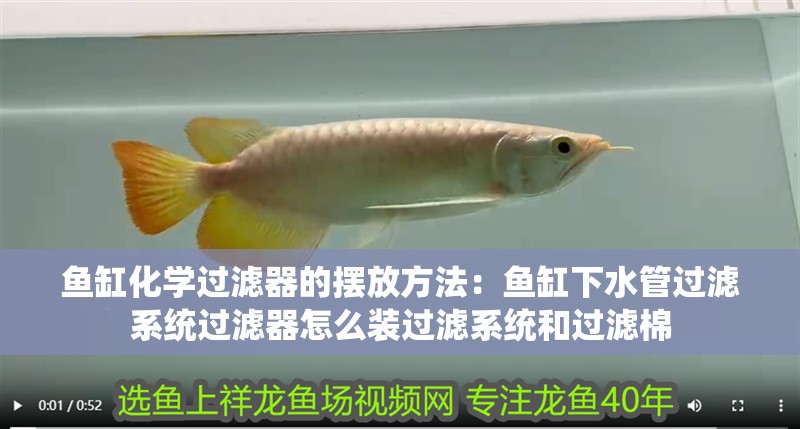 魚缸化學過濾器的擺放方法：魚缸下水管過濾系統(tǒng)過濾器怎么裝過濾系統(tǒng)和過濾棉