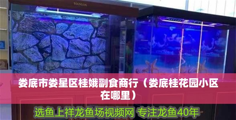 婁底市婁星區桂娥副食商行（婁底桂花園小區在哪里）