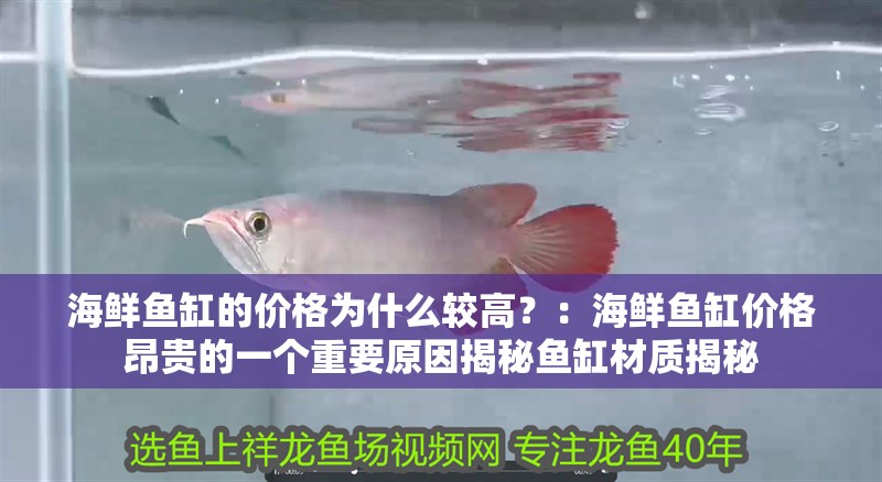 海鮮魚缸的價格為什么較高？：海鮮魚缸價格昂貴的一個重要原因揭秘魚缸材質揭秘 海鮮魚缸的價格為什么較高？：海鮮魚缸價格昂貴的一個重要原因揭秘魚缸材質揭秘 魚缸百科