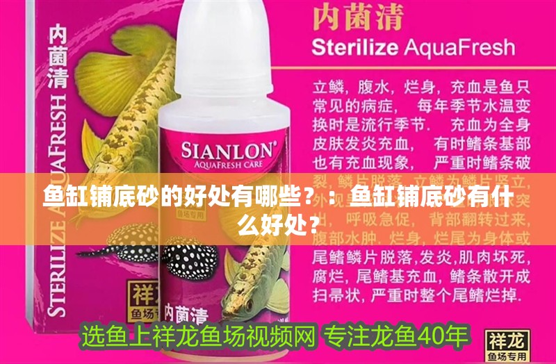 魚缸鋪底砂的好處有哪些？：魚缸鋪底砂有什么好處？