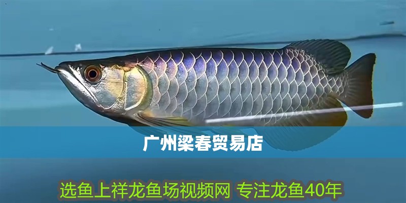 廣州梁春貿(mào)易店