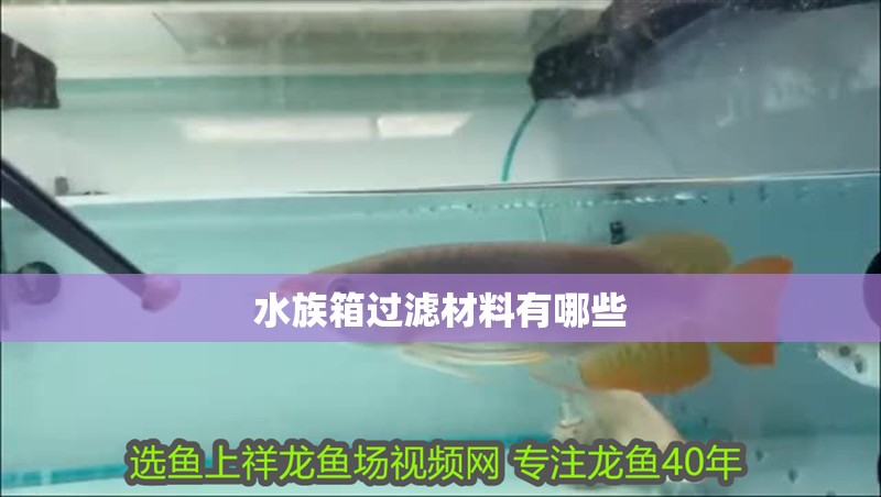水族箱過濾材料有哪些