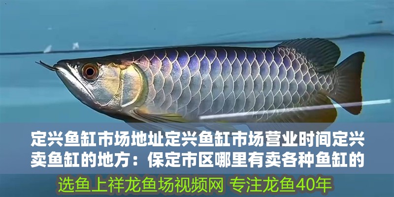 定興魚缸市場地址定興魚缸市場營業(yè)時間定興賣魚缸的地方：保定市區(qū)哪里有賣各種魚缸的？ 定興魚缸市場地址定興魚缸市場營業(yè)時間定興賣魚缸的地方：保定市區(qū)哪里有賣各種魚缸的？ 魚缸百科