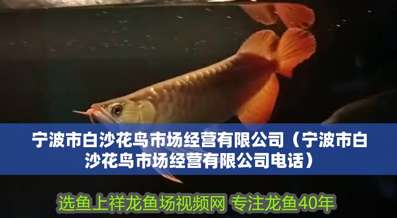 寧波市<strong><mark>白沙</mark></strong>花鳥市場經營有限公司（寧波市<strong><mark>白沙</mark></strong>花鳥市場經營有限公司電話）