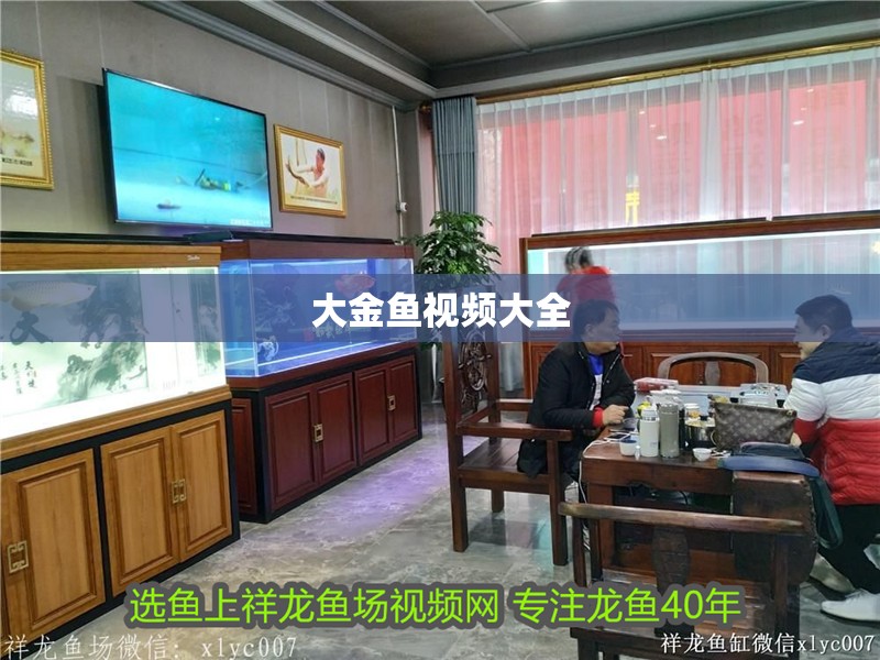 大金魚視頻大全 大金魚視頻大全 龍魚論壇