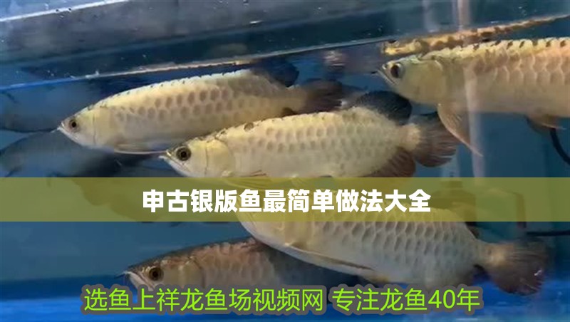 龍魚干蝦有營養嗎 申古銀版魚最簡單做法大全 龍魚論壇 申古銀版魚最簡單做法大全 申古銀版魚最簡單做法大全 龍魚論壇
