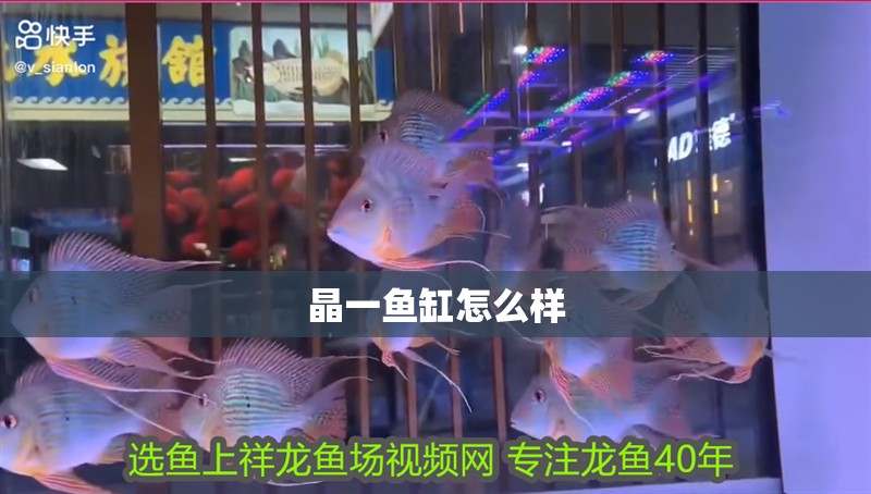 晶一魚缸怎么樣