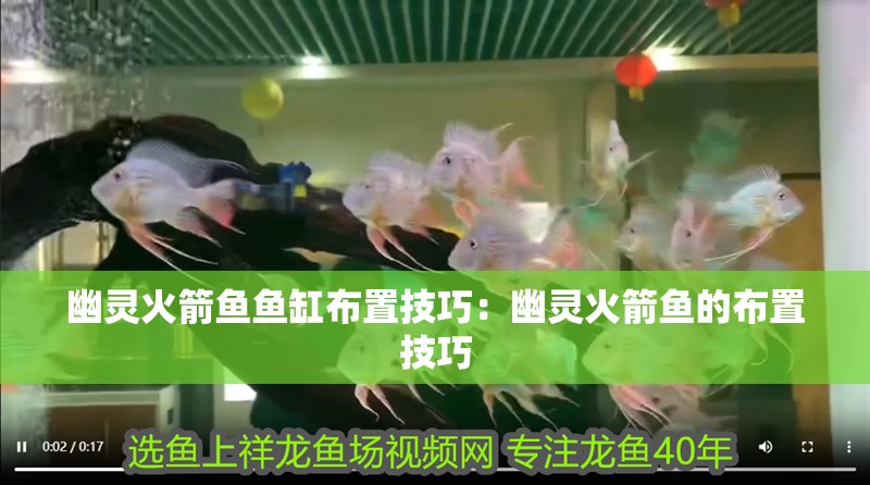 幽靈火箭魚魚缸布置技巧：幽靈火箭魚的布置技巧