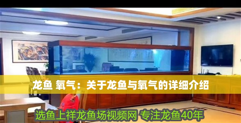 龍魚 氧氣：關于龍魚與氧氣的詳細介紹 龍魚 氧氣：關于龍魚與氧氣的詳細介紹 龍魚百科