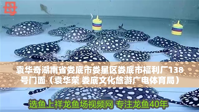 袁華奇湖南省婁底市婁星區婁底市福利廠138號門面（袁華榮 婁底文化旅游廣電體育局）
