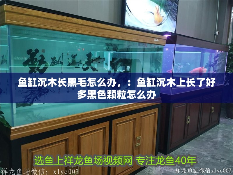 魚缸沉木長黑毛怎么辦，：魚缸沉木上長了好多黑色顆粒怎么辦