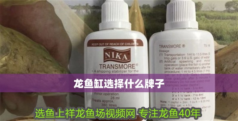 龍魚缸選擇什么牌子