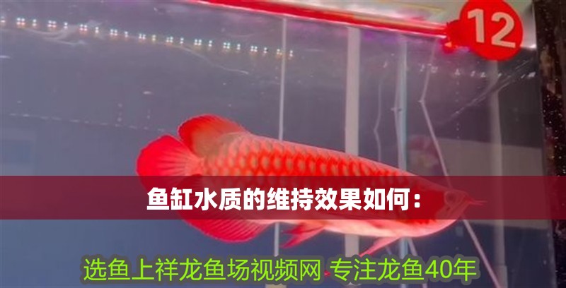 魚缸水質的維持效果如何： 魚缸水質的維持效果如何： 魚缸百科