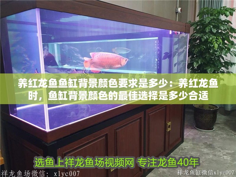 養紅龍魚魚缸背景顏色要求是多少：養紅龍魚時，魚缸背景顏色的最佳選擇是多少合適