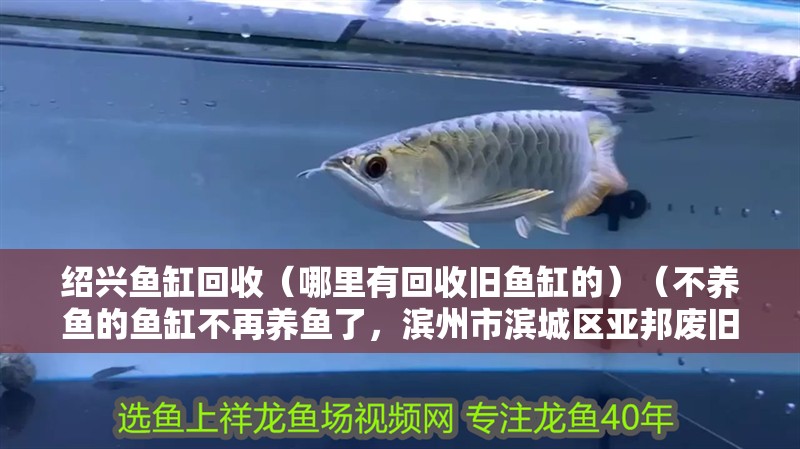 紹興魚缸回收（哪里有回收舊魚缸的）（不養魚的魚缸不再養魚了，濱州市濱城區亞邦廢舊物品回收部）