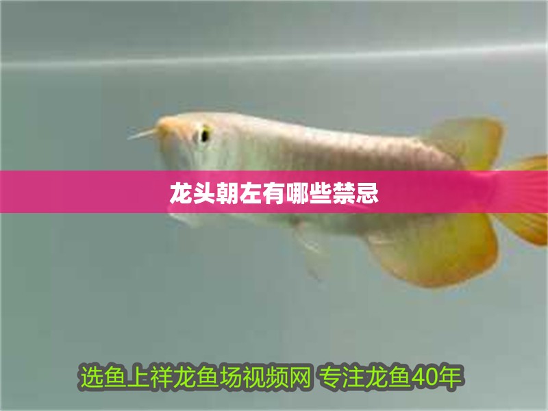 龍頭朝左有哪些禁忌