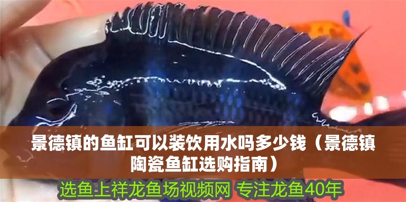 景德鎮的魚缸可以裝飲用水嗎多少錢（景德鎮陶瓷魚缸選購指南）