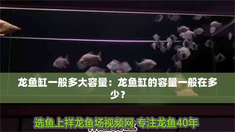 龍魚缸一般多大容量：龍魚缸的容量一般在多少？
