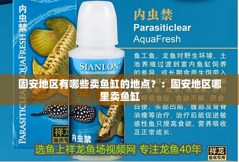 固安地區有哪些賣魚缸的地點？：固安地區哪里賣魚缸