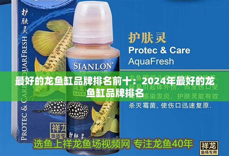 最好的龍魚缸品牌排名前十：2024年最好的龍魚缸品牌排名