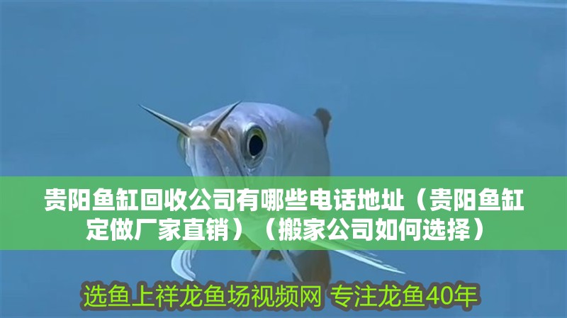 貴陽(yáng)魚(yú)缸回收公司有哪些電話地址（貴陽(yáng)魚(yú)缸定做廠家直銷）（搬家公司如何選擇）