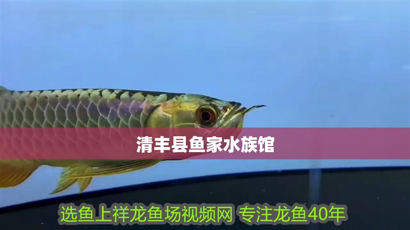 清豐縣魚家水族館