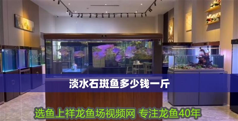 淡水石斑魚多少錢一斤