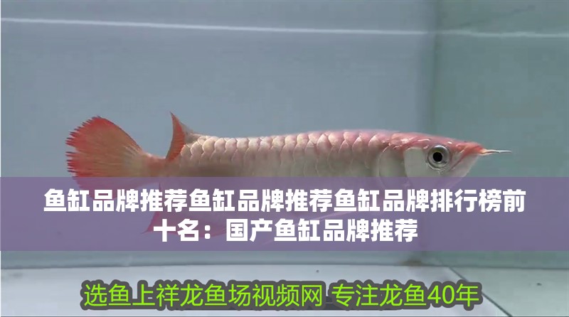魚缸品牌推薦魚缸品牌推薦魚缸品牌排行榜前十名：國產魚缸品牌推薦