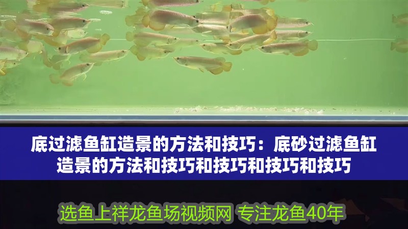 魚缸用增氧泵價格是多少:魚缸增氧機-xtrac增氧機-xtrac增氧機 底過濾魚缸造景的方法和技巧:底砂過濾魚缸造景的方法和技巧和技巧和技巧和技巧 魚缸百科 底過濾魚缸造景的方法和技巧:底砂過濾魚缸造景的方法和技巧和技巧和技巧和技巧 底過濾魚缸造景的方法和技巧:底砂過濾魚缸造景的方法和技巧和技巧和技巧和技巧 魚缸百科