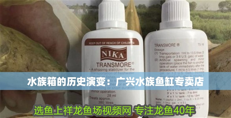 水族箱的歷史演變：廣興水族魚缸專賣店