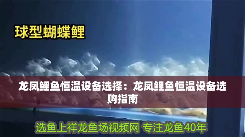 龍鳳鯉魚恒溫設(shè)備選擇：龍鳳鯉魚恒溫設(shè)備選購指南