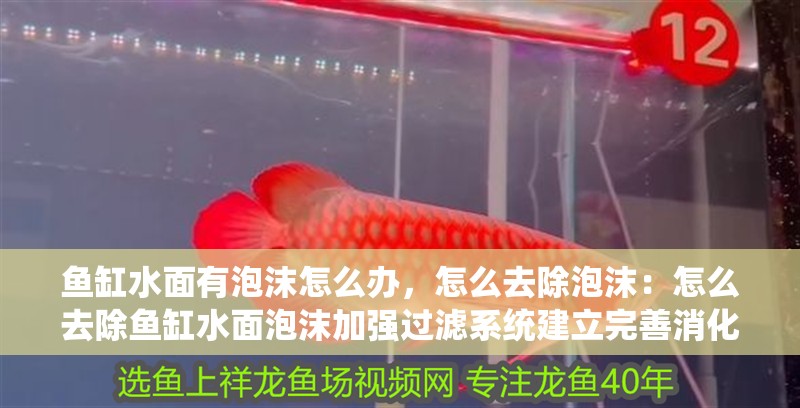 魚缸水面有泡沫怎么辦，怎么去除泡沫：怎么去除魚缸水面泡沫加強過濾系統建立完善消化系統