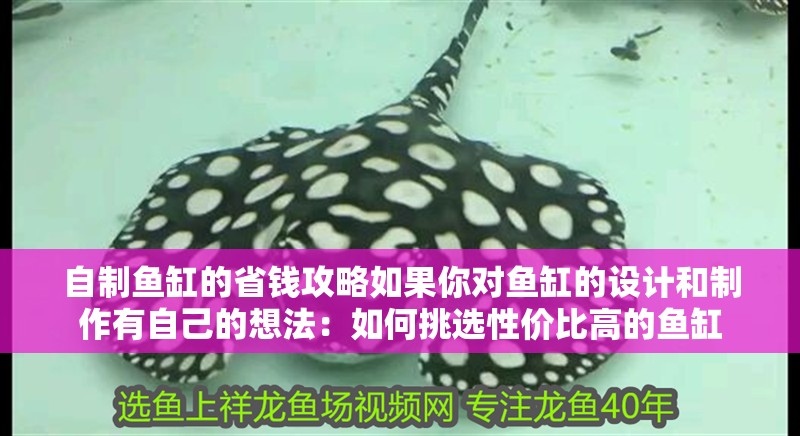 自制魚(yú)缸的省錢(qián)攻略如果你對(duì)魚(yú)缸的設(shè)計(jì)和制作有自己的想法：如何挑選性價(jià)比高的魚(yú)缸