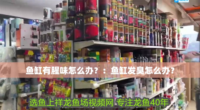魚缸有腥味怎么辦？：魚缸發臭怎么辦？