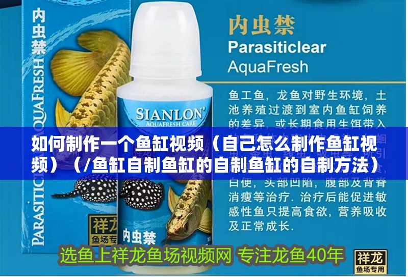 如何制作一個魚缸視頻（自己怎么制作魚缸視頻）（/魚缸自制魚缸的自制魚缸的自制方法）
