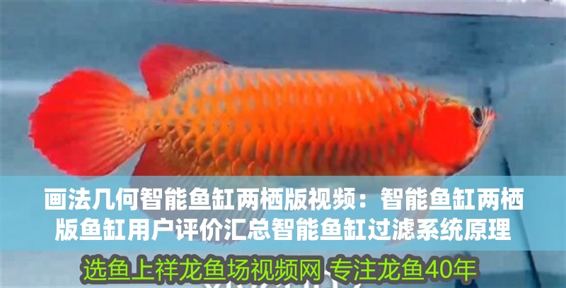 畫法幾何智能魚缸兩棲版視頻：智能魚缸兩棲版魚缸用戶評價匯總智能魚缸過濾系統原理