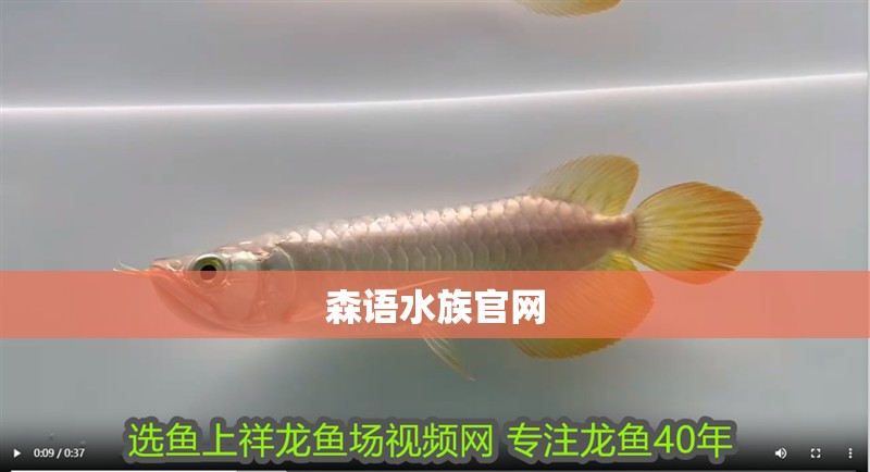 森語水族官網