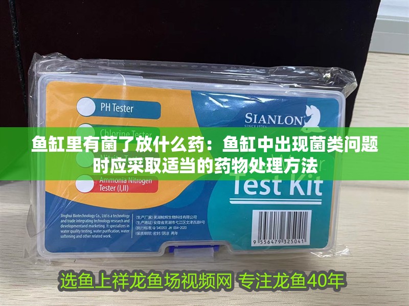 魚缸里有菌了放什么藥：魚缸中出現菌類問題時應采取適當的藥物處理方法