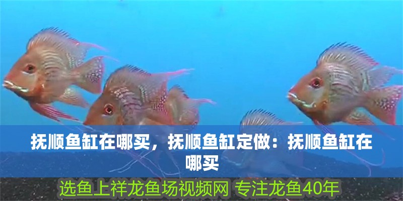 撫順魚缸在哪買，撫順魚缸定做：撫順魚缸在哪買 撫順魚缸在哪買，撫順魚缸定做：撫順魚缸在哪買 魚缸百科