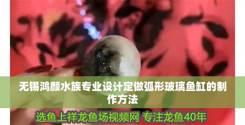 無錫鴻顏水族專業設計定做弧形玻璃魚缸的制作方法