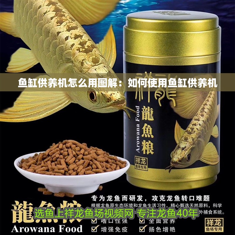 魚缸供養機怎么用圖解：如何使用魚缸供養機