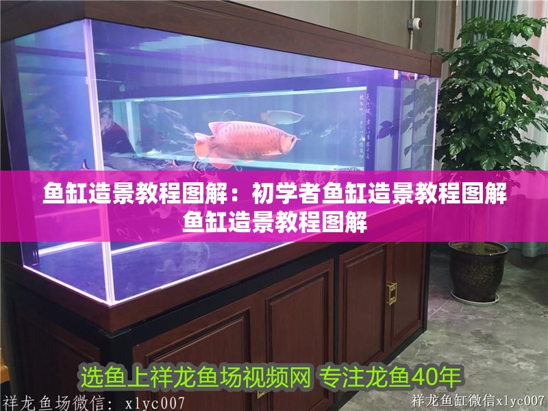 魚缸造景教程圖解：初學(xué)者魚缸造景教程圖解魚缸造景教程圖解 魚缸造景教程圖解：初學(xué)者魚缸造景教程圖解魚缸造景教程圖解 魚缸百科