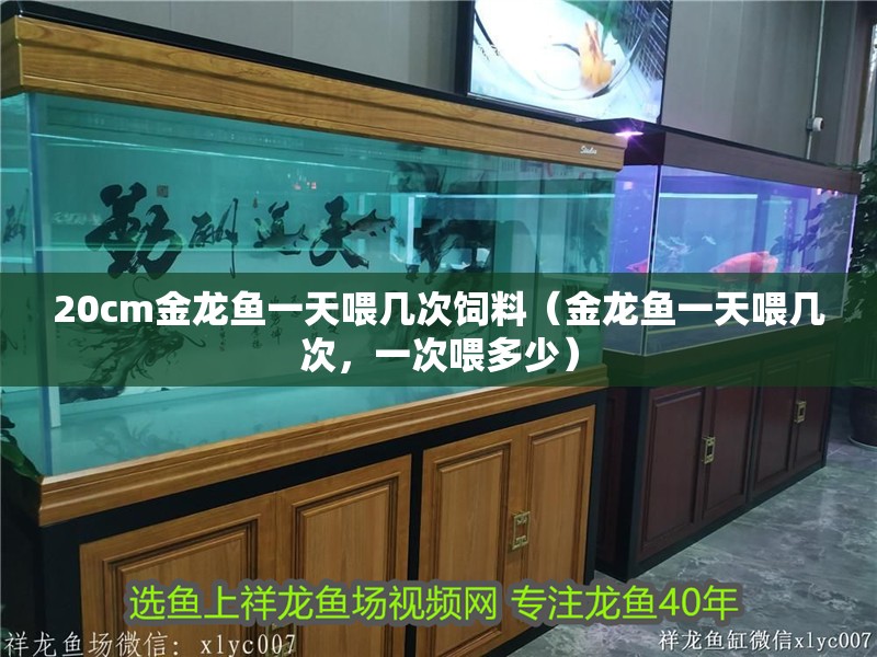 20cm金龍魚一天喂幾次飼料（金龍魚一天喂幾次，一次喂多少）