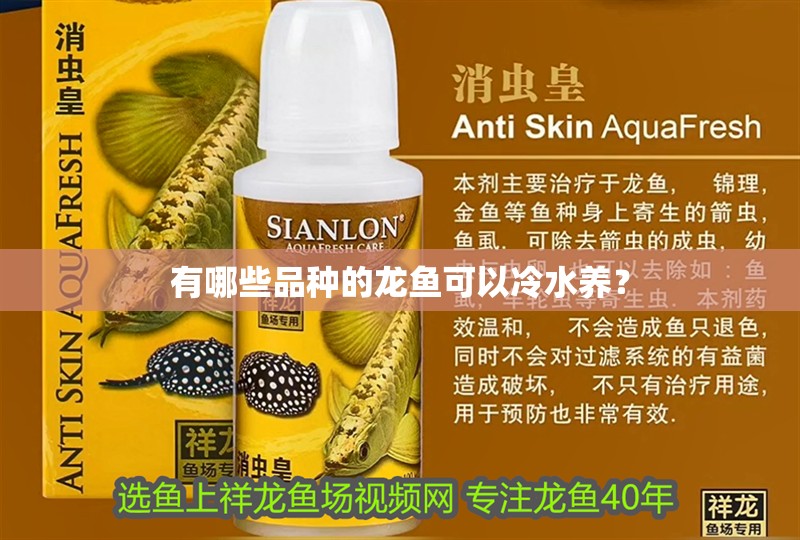 有哪些品種的龍魚可以冷水養？