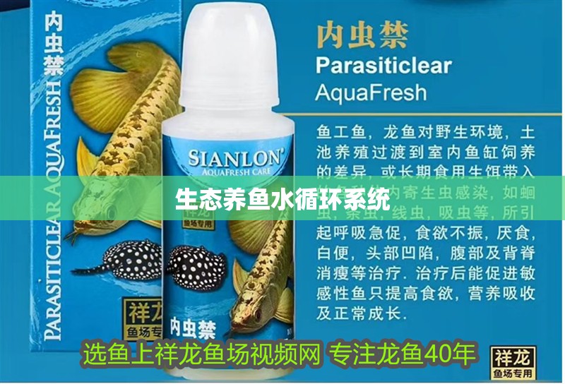 生態(tài)養(yǎng)魚水循環(huán)系統(tǒng)