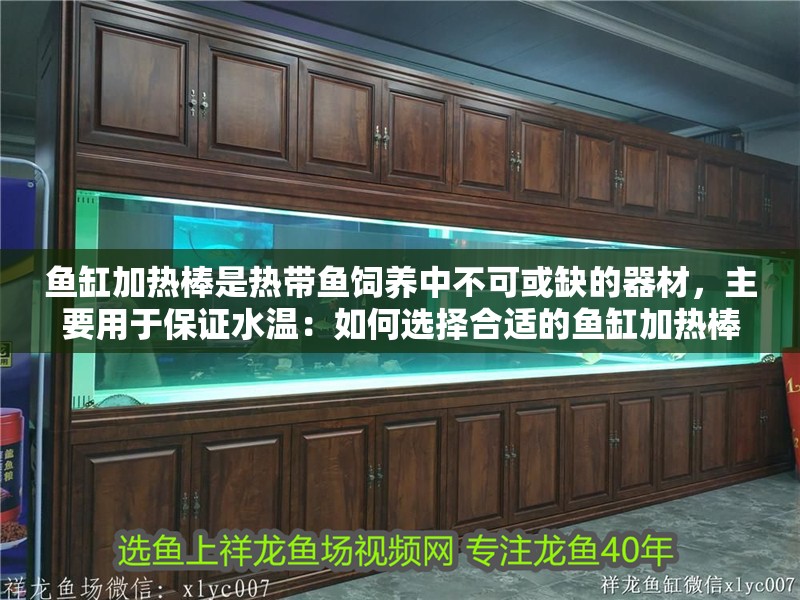 魚缸加熱棒是熱帶魚飼養中不可或缺的器材，主要用于保證水溫：如何選擇合適的魚缸加熱棒