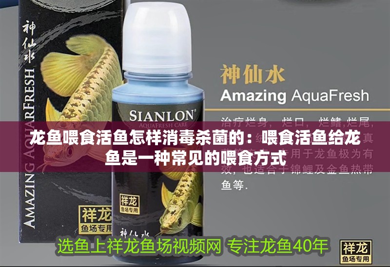 龍魚喂食活魚怎樣消毒殺菌的：喂食活魚給龍魚是一種常見(jiàn)的喂食方式